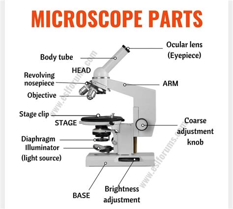 PARTS OF A OPTICAL MICROSCOPE... - Metallurgical engineering