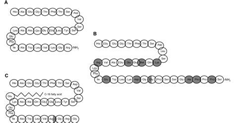 A) The molecular structure of human GLP-1. B) The molecular structure ...