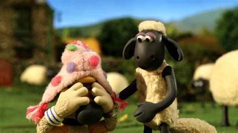 BBC iPlayer - Shaun the Sheep - Series 2: 13. Bitzers New Hat