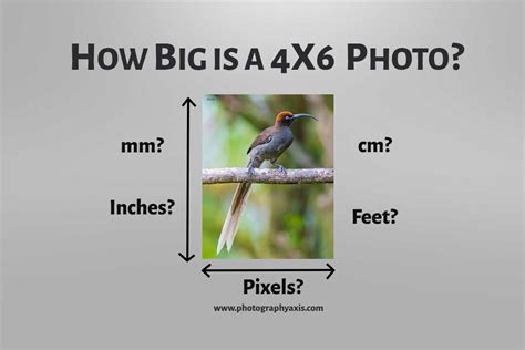 How Big is a 4×6 Photo?(Inch, cm, mm, Ft, Pixels) - PhotographyAxis