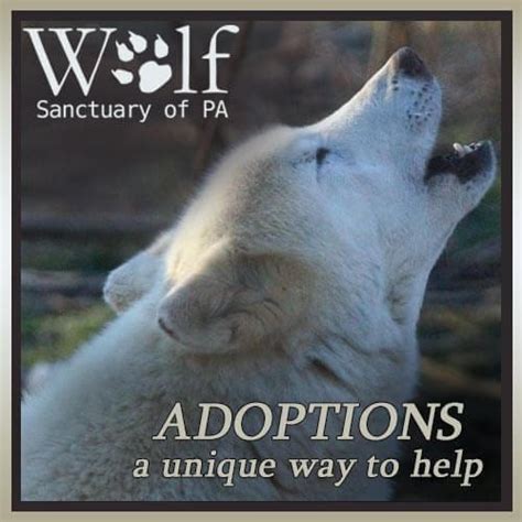 Adopt a Wolf - Wolf Sanctuary of PA