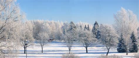 Winter Panorama Royalty Free Stock Image - Image: 8024196