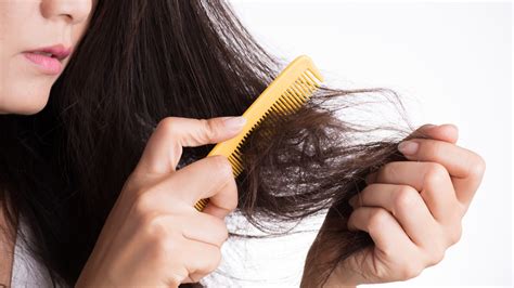 There Are 8 Types Of Hair Damage: Here's What You Need To Know