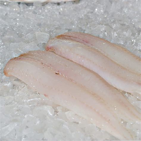 Fresh Filleted Fish | Glasgow's Fish Plaice