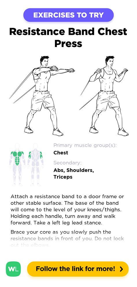 Resistance Bar With Bands, Exercise Bar For Squat Chest Press Weightlifting Strength Training ...