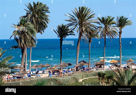 Oasis zarzis hi-res stock photography and images - Alamy