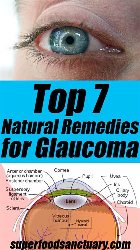 7 Natural Remedies for Glaucoma Prevention and Treatment - Superfood Sanctuary