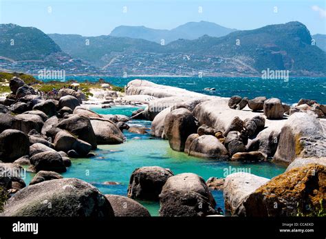 Boulders beach, Simon's Town, Cape Town, South Africa Stock Photo - Alamy