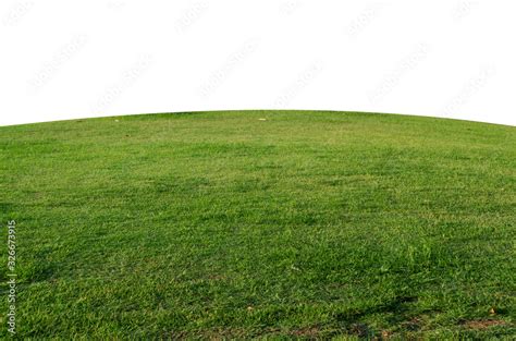 Green grass field isolated on white background with clipping path,Green ...