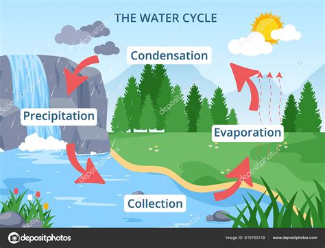 Water Cycle Evaporation Condensation Precipitation Collection Earth Natural Environment Flat ...