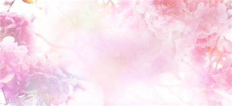 Pink Color Flower Background Image | Best Flower Site