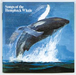 Whale Song | The Science Column