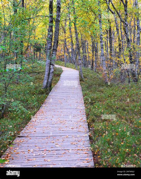 Europe, Germany, Hesse, UNESCO Biosphere Reserve Rhön, Hessian Rhön ...