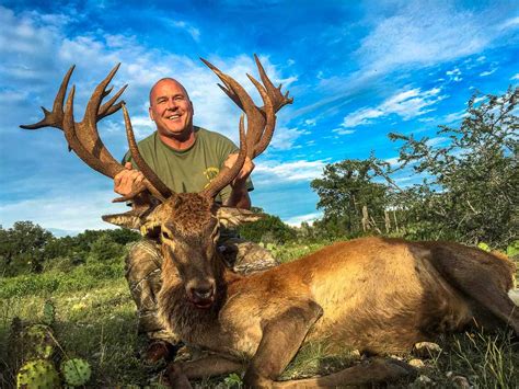 Red Stag Hunting | 18,000 Acres in Texas | 60+ Species | Ox Ranch