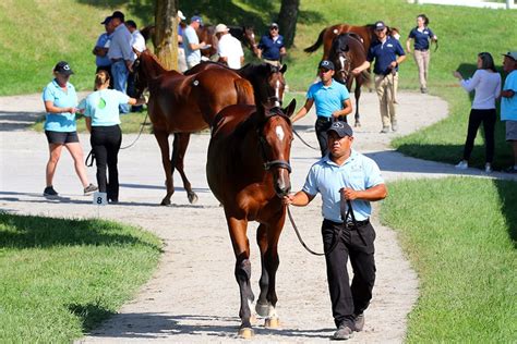 Keeneland Catalogs 4,644 Yearlings for 2019 September Sale - National HBPA