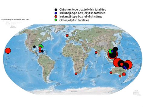 World Distribution