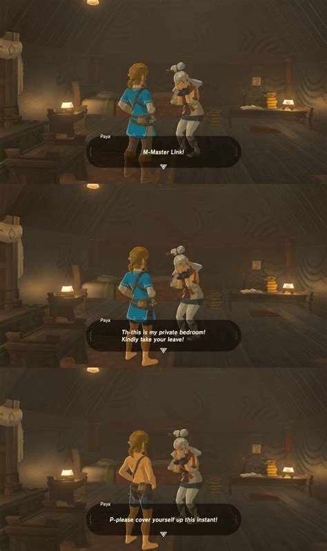 BOTW: When Link Gets Ready for Loving | Legend of zelda memes, Zelda funny, Zelda memes