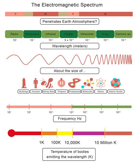 The Electromagnetic Spectrum - worksheet from EdPlace