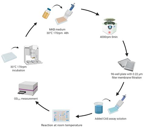 High-throughput Method for Detecting Siderophore Production by ...