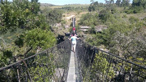 Oribi Gorge Swing Stock Photos - Free & Royalty-Free Stock Photos from ...