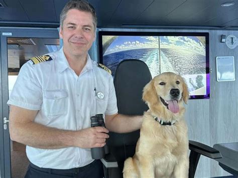 Royal Caribbean’s Icon of the Seas to Feature Chief Dog Officer - Cruise Industry News | Cruise News