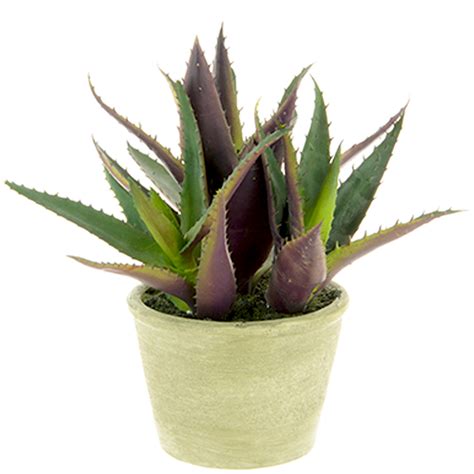 Artificial Agave Succulent Plant in Pot