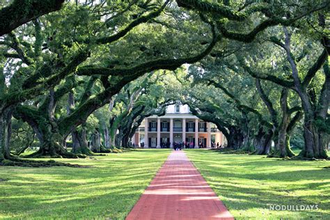 Top Photo Spots at Oak Alley Plantation in 2022