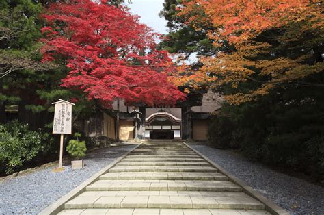 Koyasan: A Mystical Mountain Draped in Autumn leaves