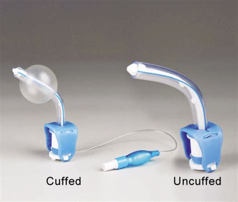 Hospital Use Medical Sterile PVC Disposable Tracheostomy Tube Uncuffed - China Tracheostomy Tube ...