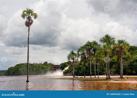 Laguna De Canaima - Canaima National Park, Venezuela Stock Photo - Image of nature, america ...