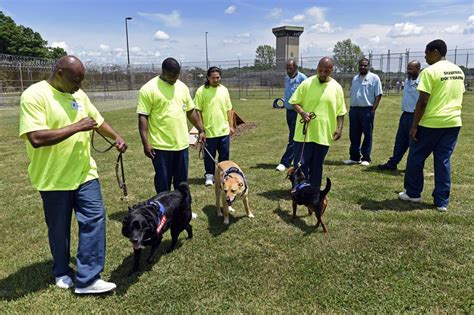 At Shawnee Correctional Center, offenders are training shelter dogs to become companions for ...