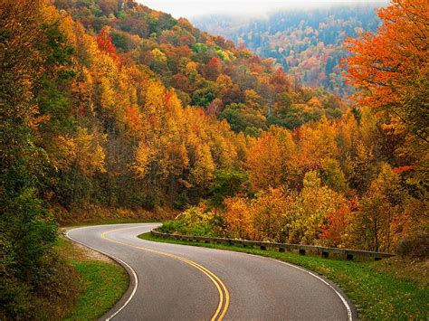 Autumn In The Smokies - Great Smoky Mountains National Park Photograph by Cades Cove Photography