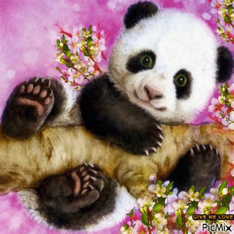 PANDA LOVE | Panda love, Panda art, Panda illustration