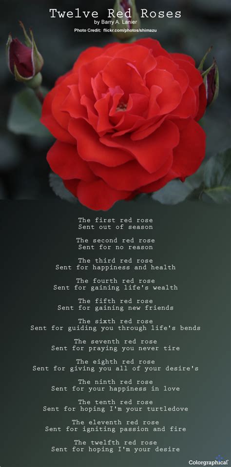 Roses Meaning and Symbolism | Roses are red poems, Rose poems, Rose color meanings