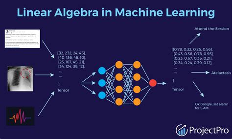 How is Linear Algebra used in Machine Learning?