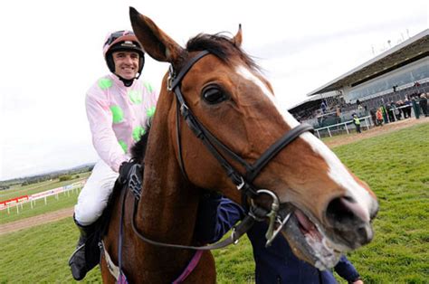 Willie Mullins's stable set to dominate next month’s Punchestown ...