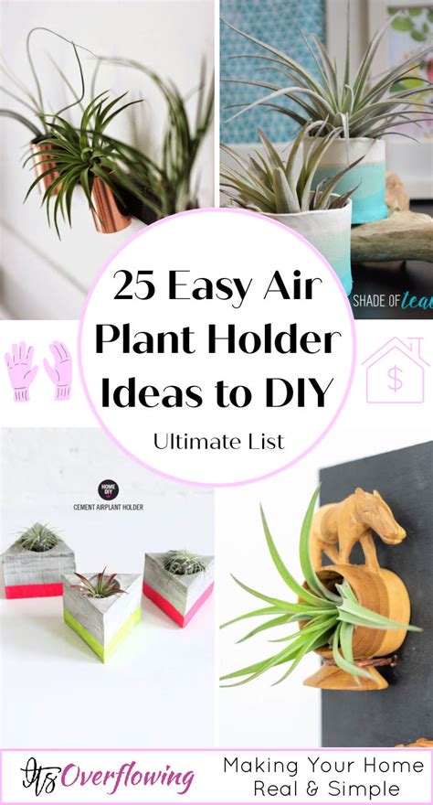 25 Easy DIY Air Plant Holder Ideas to Display Plants