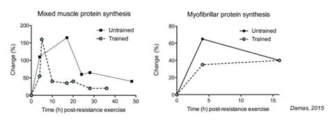 The Ultimate Guide to Muscle Protein Synthesis