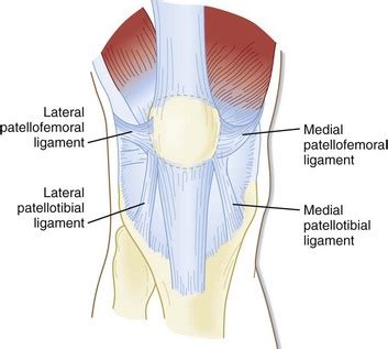 Patellofemoral Joint - Physiopedia