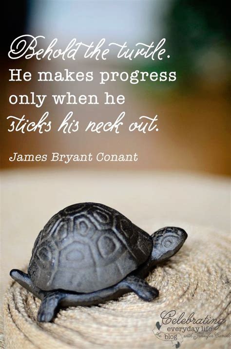 {be inspired} Behold the Turtle quote | Turtle quotes, Turtle and Wisdom