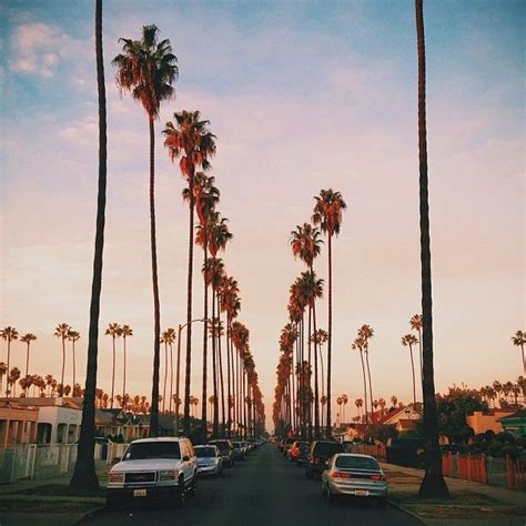 South Central | Los angeles photography, California sunset, Photo