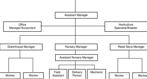 Line and staff organization structure | Download Scientific Diagram