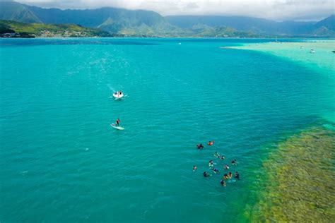 Kaneohe Bay Snorkeling: The Ultimate Guide - Hawaii Travel Guide