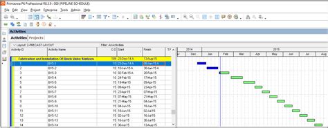 Four Week Look Ahead Schedule in Primavera P6: How to Build a Lookahead Filter in Primavera P6