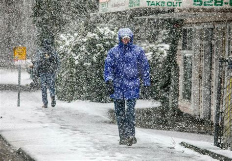 Seattle Hit by Unusually Heavy Snowfall Moving Across Pacific Northwest ...