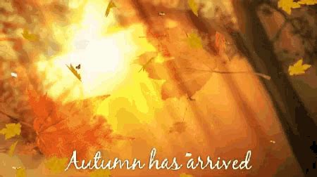 Autumn Leaves GIF - Autumn Leaves Fallingleaves - Discover & Share GIFs