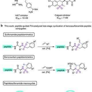 Synthesis of peptidomimetics containing aryl sulfonamide motif. a... | Download Scientific Diagram