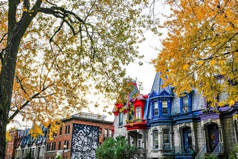 Montreal's Plateau Mont-Royal and Mile End Tour by MTL Detours 2024