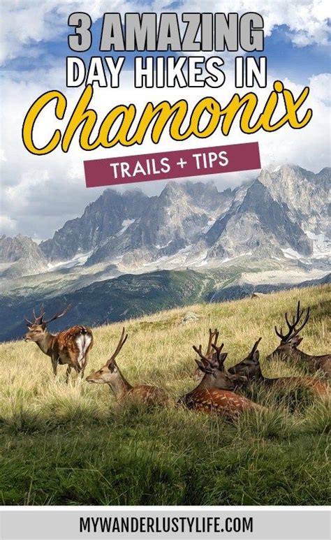 Best Hikes In Chamonix: 3 Easy to Moderate Hiking Trails + Tips | Best ...