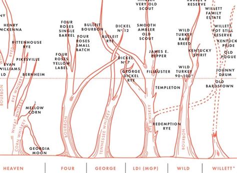 The Bourbon Family Tree (Infographic) | thebourbonblog.com